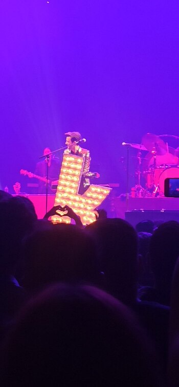 Imagen del concierto capturada por