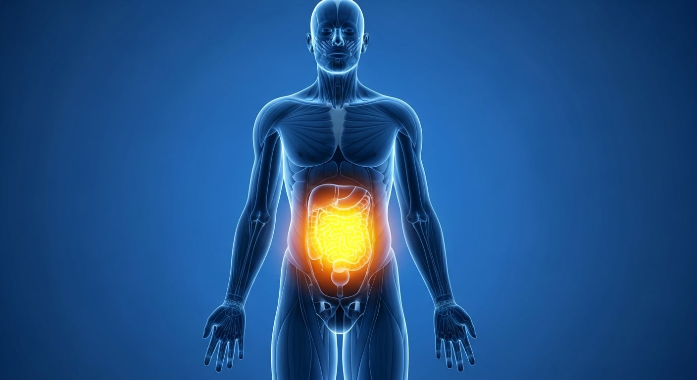 Una mala alimentación, el sedentarismo, el estrés crónico y el abuso de fármacos dañan la microbiota y generan problemas de salud integrales (Imagen Ilustrativa Infobae)
