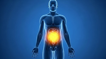 Científicos identifican un mecanismo que
