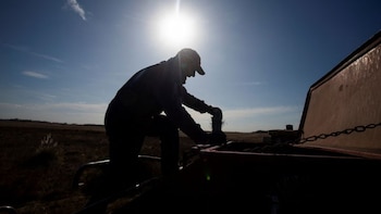 Alertan por 120 mil trabajadores rurales en riesgo ante la demora de un trámite para cobrar planes sociales: qué dijo el Gobierno