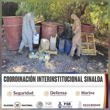 En operativo conjunto, Fuerzas Federales