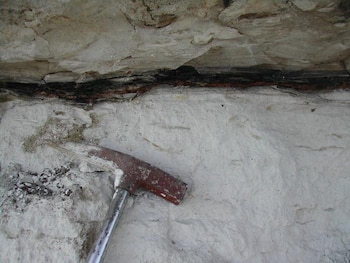 Investigadores identificaron la composición del cuerpo celeste gracias al análisis de isótopos de níquel en la arcilla del límite KT (Universidad de Columbia Británica)