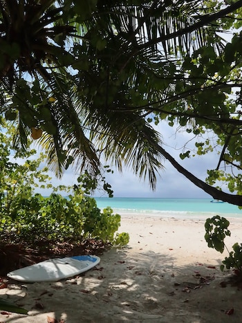 Las vacaciones de Nico Paz y su pareja Emma Ramirez en Seychelles