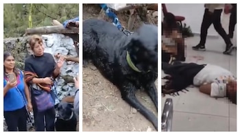 Mujeres de CDMX son acusadas de brujería por ingresar a manantial de Temoaya con su perro, casi las linchan l Video