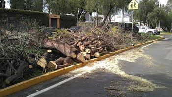 Debido a los fuertes vientos