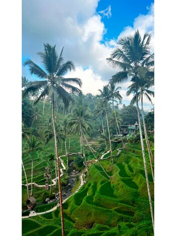 El álbum de fotos de