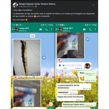 Captura de pantalla de la