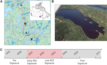 Paneles con un mapa de lagos en Canadá, una fotografía aérea de un lago rodeado de bosque y una línea de tiempo dividida en fases de 1999 a 2011