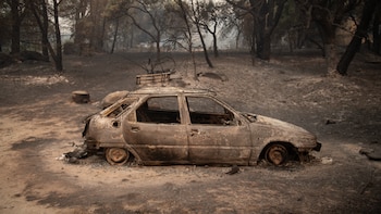 Los vecinos del Valle del Tiétar se enfrentan a un paisaje arrasado por el fuego: “Parece una guerra. Esto es la ruina de todos los pueblos”