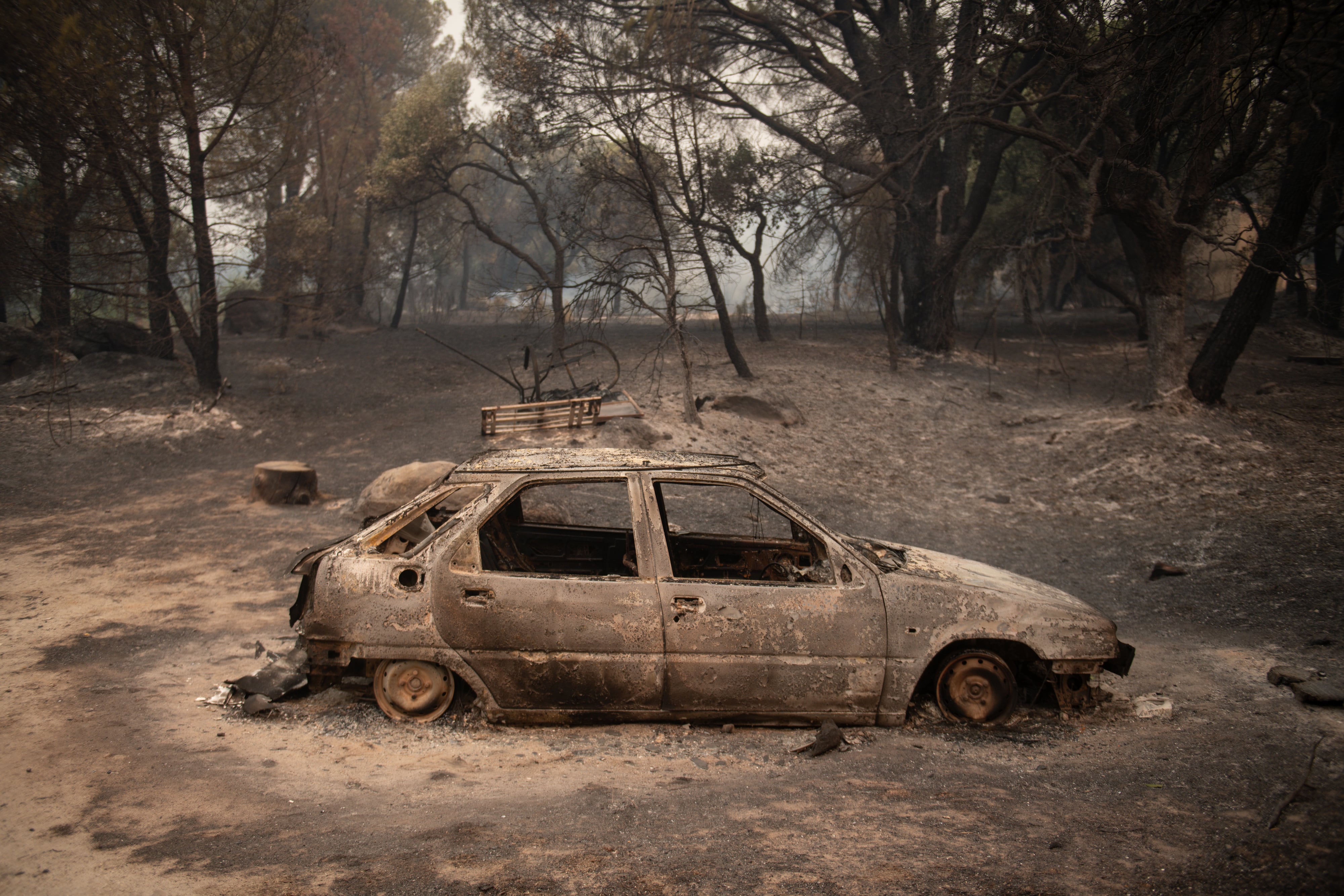 Los vecinos del Valle del Tiétar se enfrentan a un paisaje arrasado por el fuego: “Parece una guerra. Esto es la ruina de todos los pueblos”
