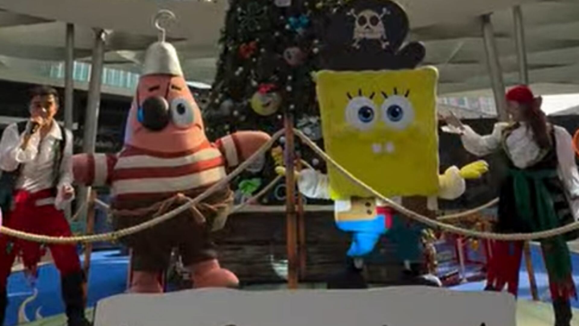 (Captura de pantallaTk:igarridopop)