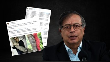 El twittero que, al parecer, insultó a Verónica Alcocer le contestó a Petro - crédito montaje Infobae