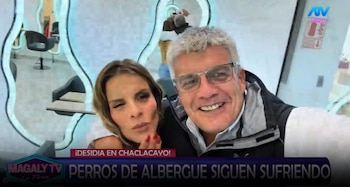 Animalistas responde a Alejandra Baigorria por denuncia contra albergue: “Ninguna de nosotras va a postular”. Captura: Magaly TV La Firme.