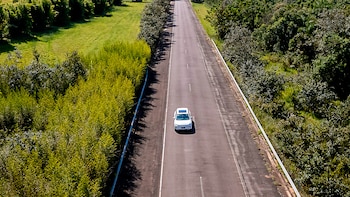 Vista aérea de un automóvil blanco en una carretera de asfalto recta, flanqueada por densa vegetación verde y árboles bajo un cielo claro