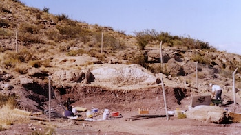 La nueva especie de dinosaurio