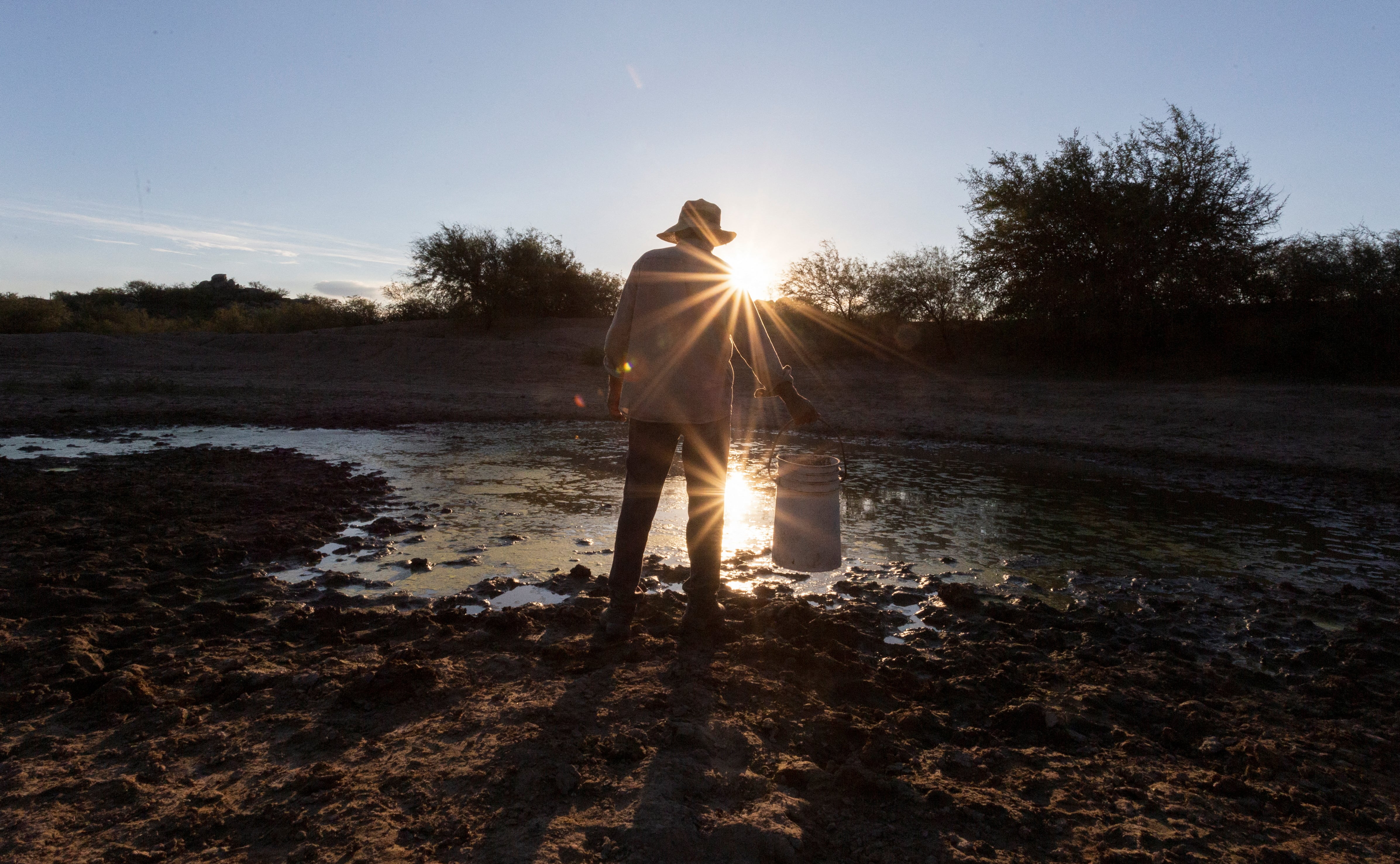 El gecko enfrenta amenazas por el cambio climático y la presión minera en la región, sin áreas protegidas alrededor de su hábitat/Archivo REUTERS
