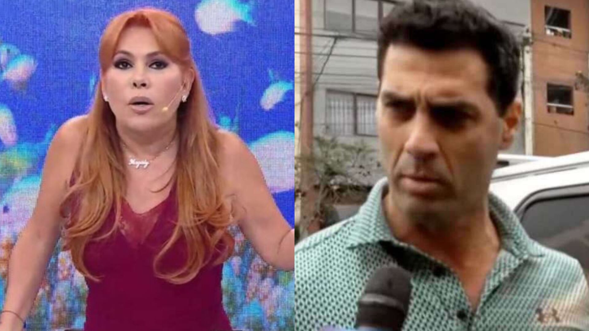 Magaly Medina rechaza agresión de Gustavo Salcedo contra productor de Maju Mantilla.