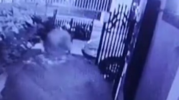 Los ladrones le gatillaron en