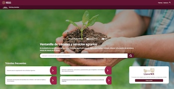 El sitio web facilita la