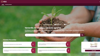 Ventanilla Agraria digital ofrece atención
