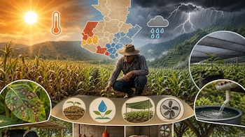 Agricultura advierte que productores de Guatemala deben monitorear condiciones climáticas extremas esta semana por calor y lluvias irregulares