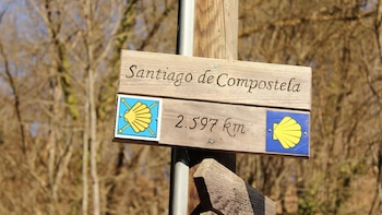 El hombre italiano de 70 años que ha hecho 12 veces el Camino de Santiago: “No lo hago por fe, yo ni siquiera reservo albergue ni nada”