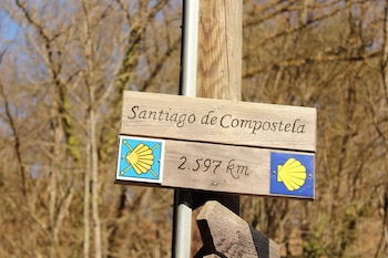 Un cartel de madera en un poste indica 'Santiago de Compostela' y '2.597 km', flanqueado por símbolos de conchas amarillas sobre azul. Fondo con árboles