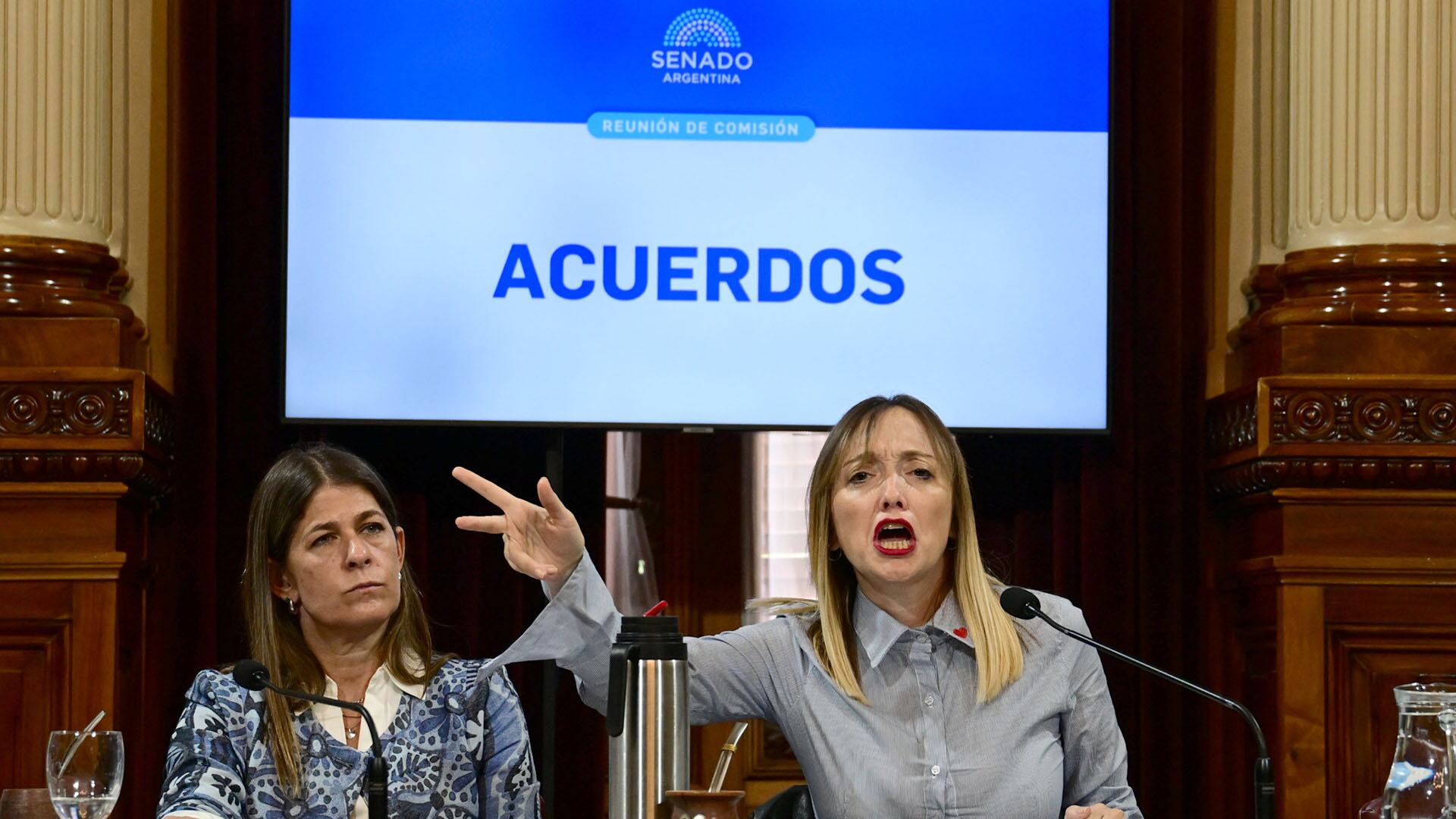 La presidenta de la comisión de Acuerdos, Guadalupe Tagliaferri. En uso de la palabra, la vice y legisladora senadora camporista, Anabel Fernández Sagasti (Maximiliano Luna)