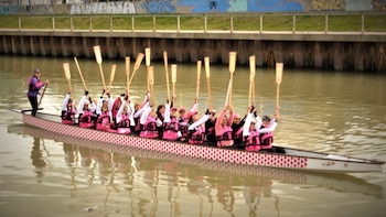 Dragones rosas: las mujeres recuperadas