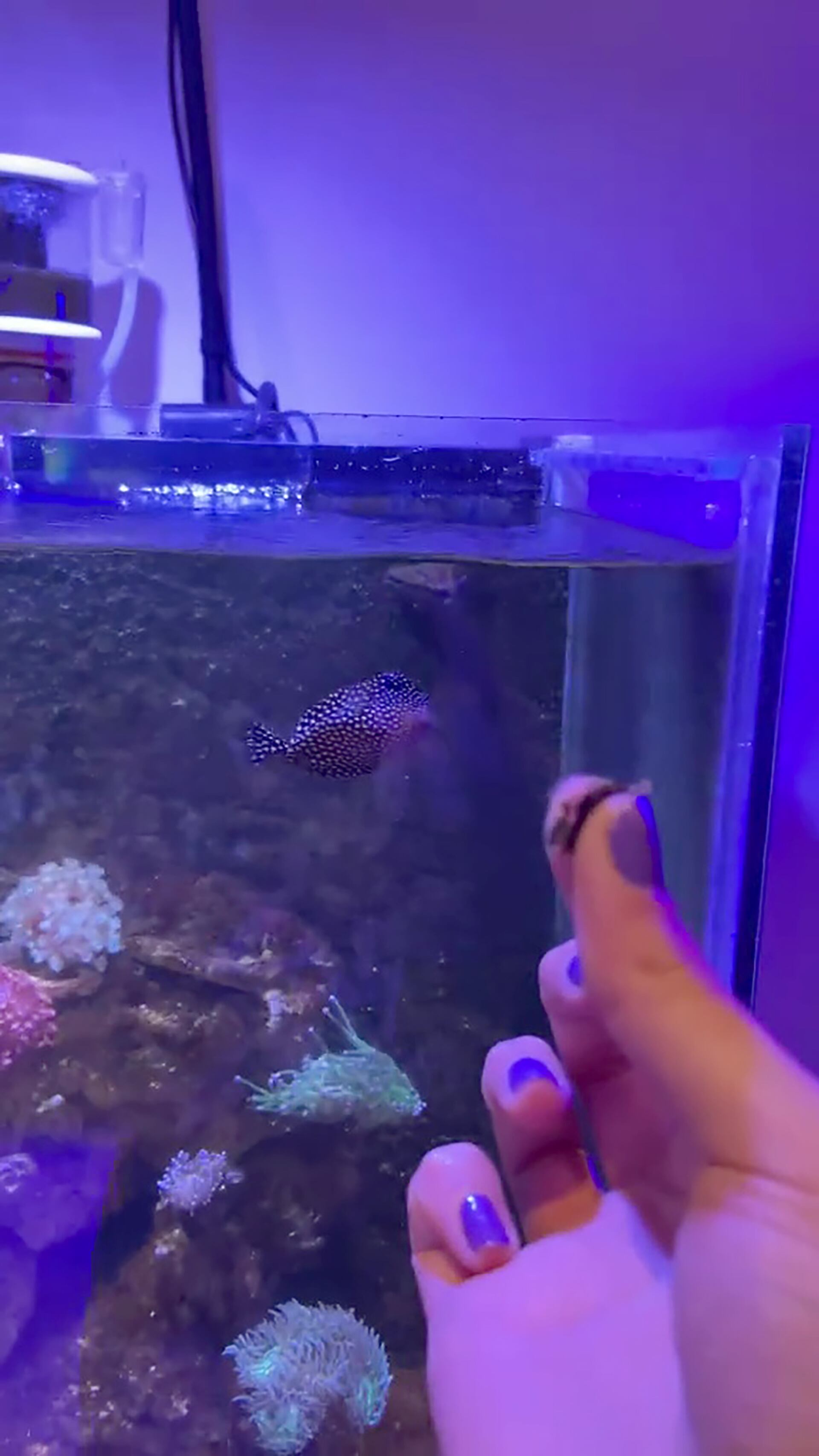 El video de Globi supera los tres millones de reproducciones y medio millón de 'me gusta' en redes sociales