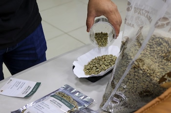 El Geisha volverá a ser el gran protagonista del concurso con 70 lotes distribuidos entre las categorías Lavado y Natural. Cortesía