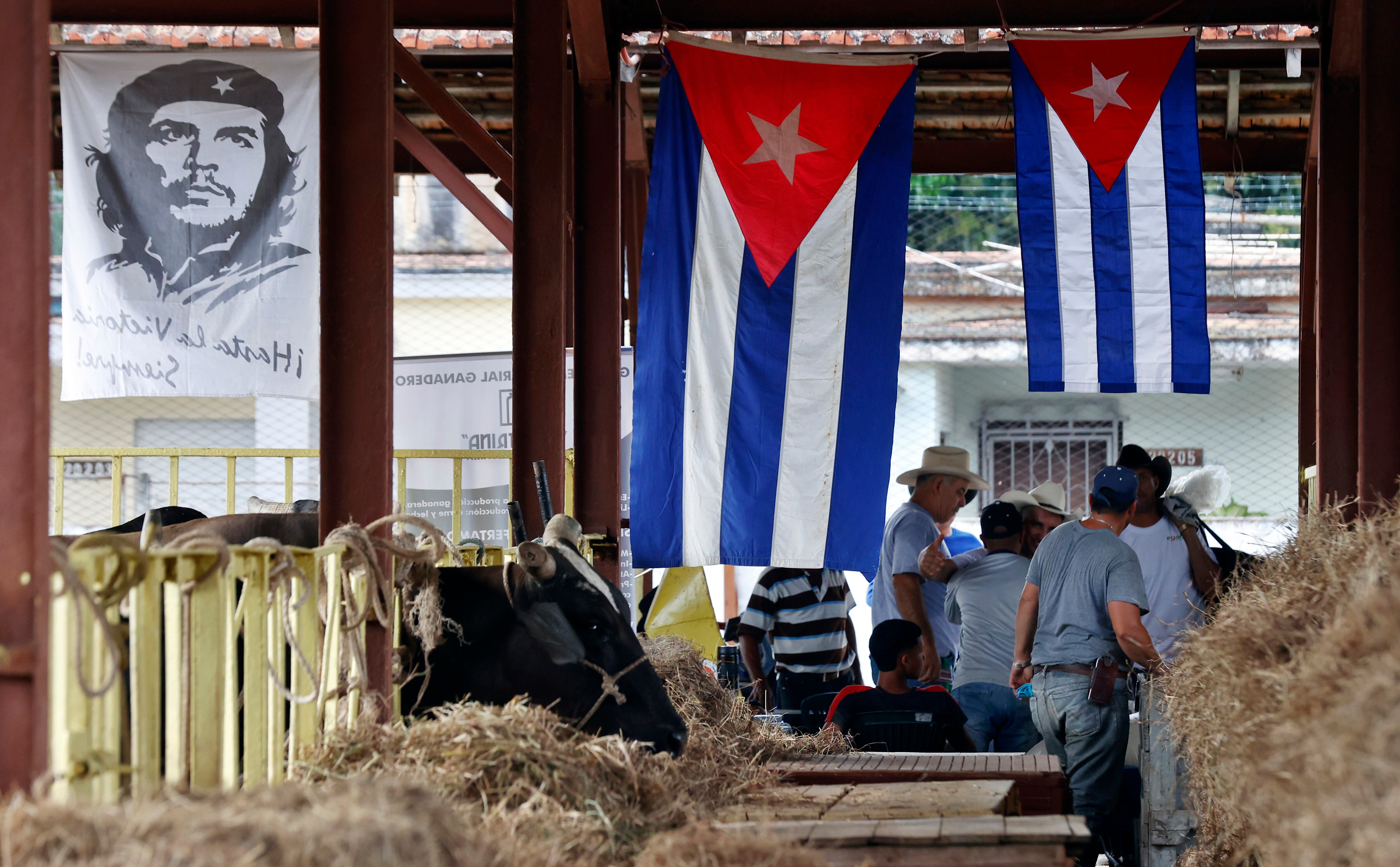 Personas recorren un pabellón de la XXV edición de la Feria Internacional Agroindustrial Alimentaria (Fiagrop) este lunes, en La Habana (Cuba) (EFE/Ernesto Mastrascusa)