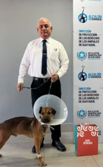 El perro recibió atención veterinaria