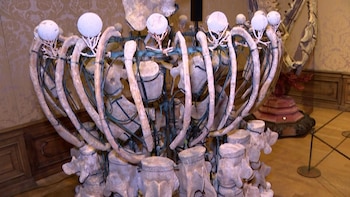 Vista de una escultura de huesos prehistóricos color crema y blanco, interconectados por estructuras metálicas verdes, exhibida en un museo