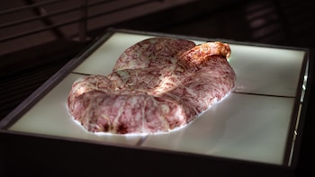 Estadío Inicial - CC Borges