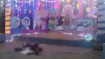 Identifican los restos humanos que