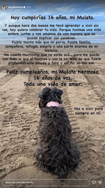 Una perra de pelaje oscuro y rizado con collar rosa se sienta de espaldas sobre la arena. Arriba hay un texto negro sobre un fondo de cielo y playa