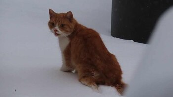 Oskar es ciego y una