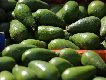 16/04/2021 AGUACATES.
MADRID, 16 (CHANCE) Hablar de aguacate es hablar de una vida saludable y de bienestar físico y emocional. Este superalimento es uno de los más completos y es rico en proteínas, minerales, fibra, potasio, oligoelementos... Estas cualidades son las que le convierten en un gran protector de nuestra salud, ese aliado que siempre nos ayudará a que nuestro organismo funcione mucho mejor.
POLITICA EUROPA ESPAÑA SOCIEDAD
CONTACTOPHOTO