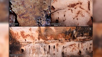 Más de 100 pinturas y