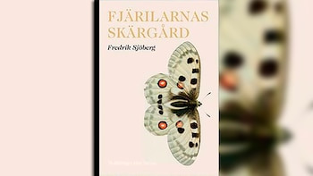 "El arte de coleccionar moscas"