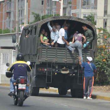 Perrera en un sector del