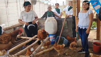 La combinación de producción agrícola, acceso a crédito solidario y formación técnica propicia una mayor consolidación organizativa y un crecimiento sustentable en la economía local, de acuerdo con la evaluación del primer aniversario (Foto cortesía MAGA)