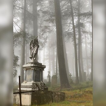 El tétrico escenario que se