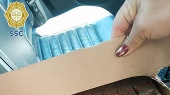 Un hombre fue detenido con