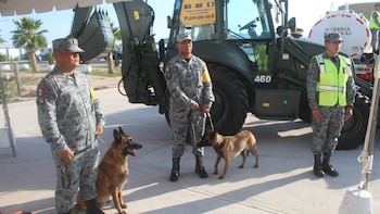 Huracán Polo: Guardia Nacional activa Plan DN-III-E en Baja California Sur