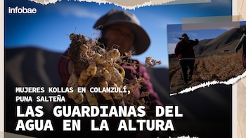 Las guardianas del agua: cómo las mujeres de la comunidad Kolla de Colanzulí se enfrentan a la crisis hídrica y al clima extremo