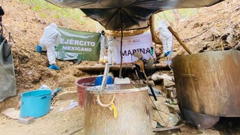 Las autoridades aseguraron que destruyeron