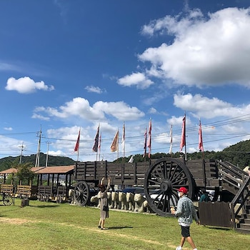 El museo del carruaje donde