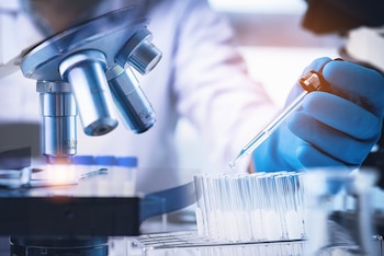 Imagen HV3PYC2T7ZD4DHZQUZLN77NJ5A